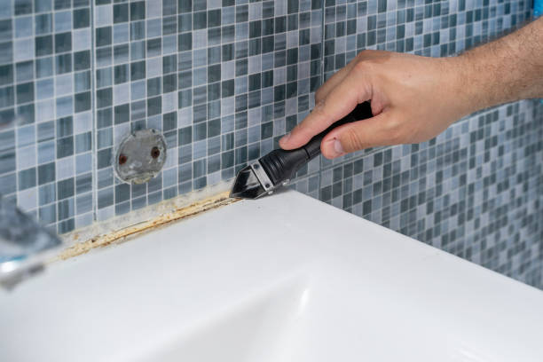 Best Post-Remediation Services in Parsons, WV
