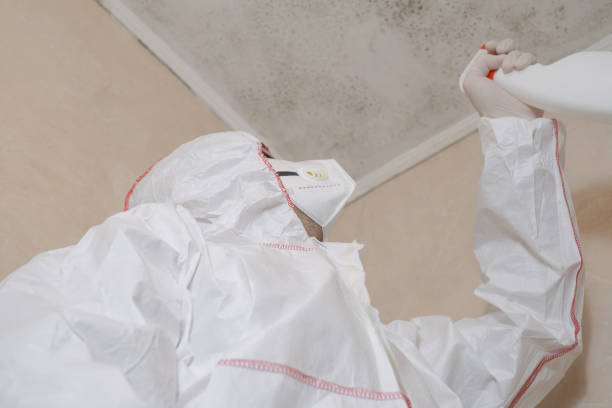 Best Health and Safety Mold Remediation in Parsons, WV